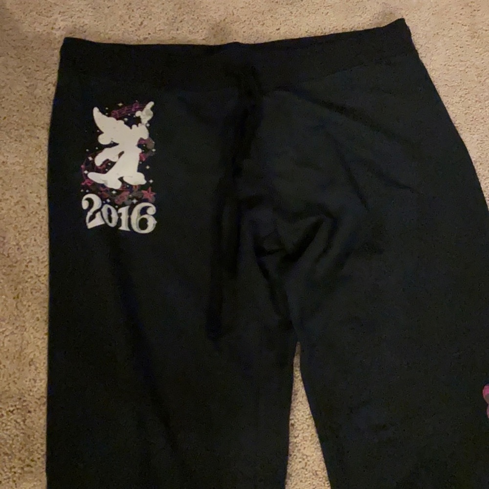 Disney world sweatpants